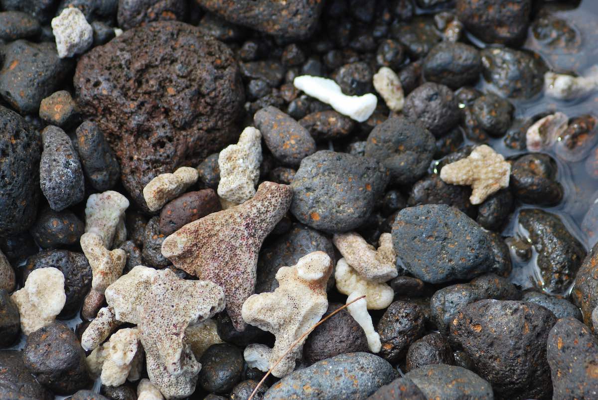 Cariboo House Churches